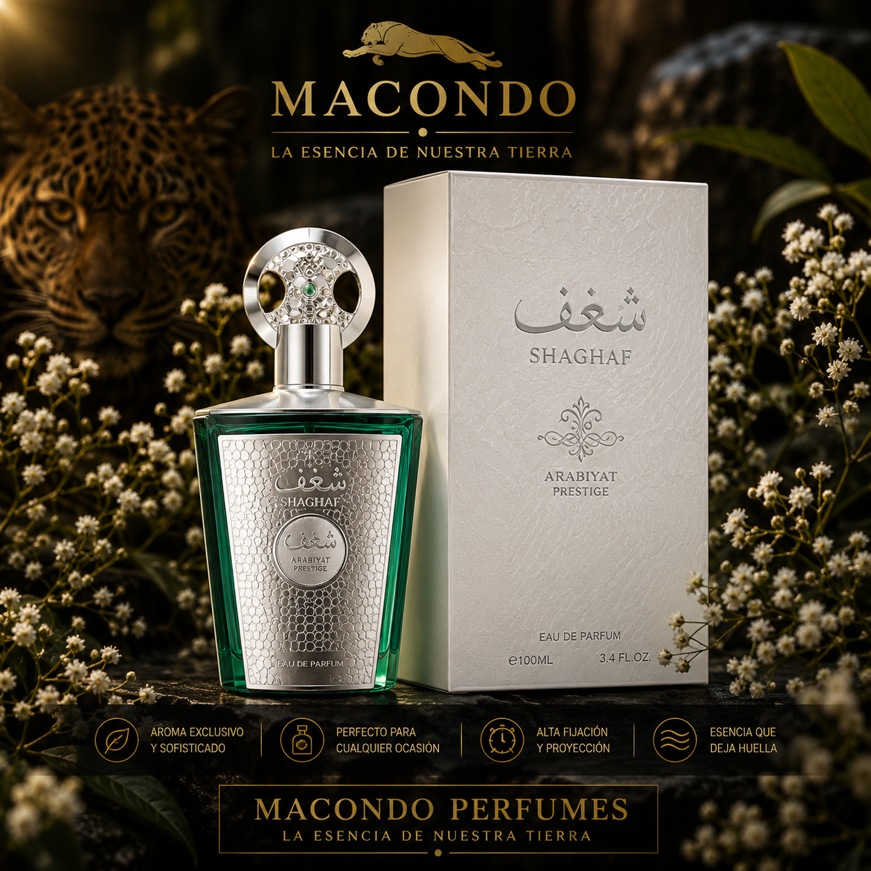 Sherif Lattafa — Macondo Perfumería