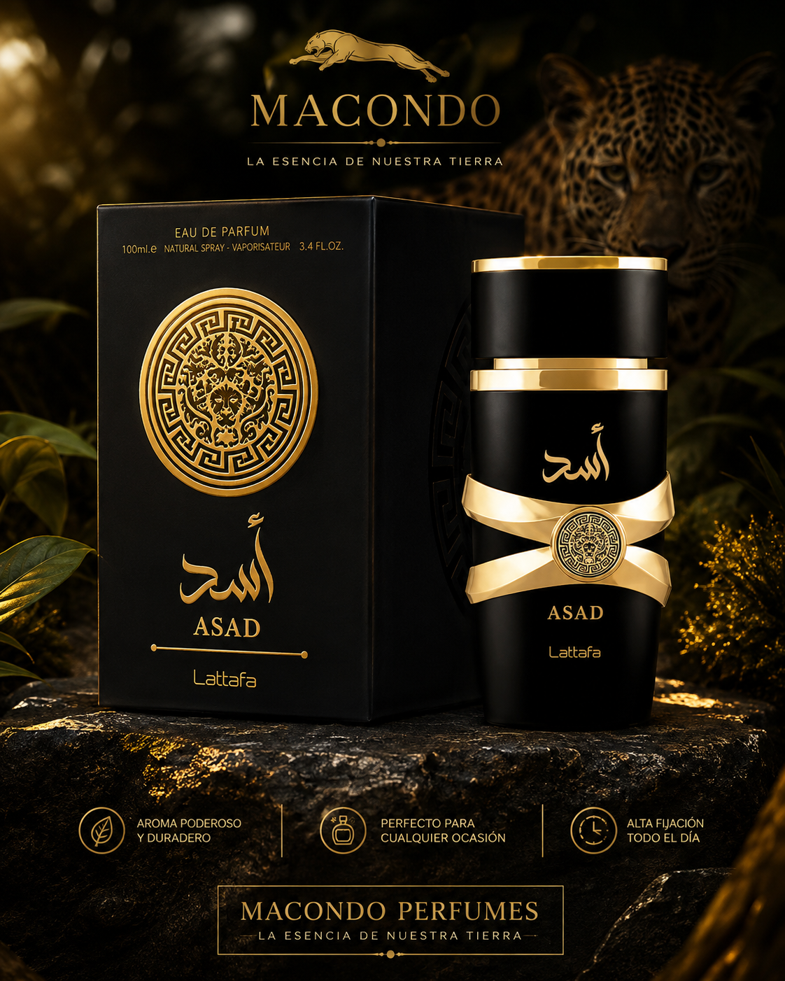 Asad — Macondo Perfumería